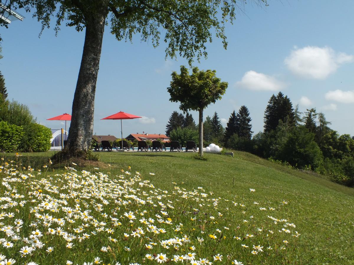 Gastehaus Pension Bergwald Scheidegg Exterior photo