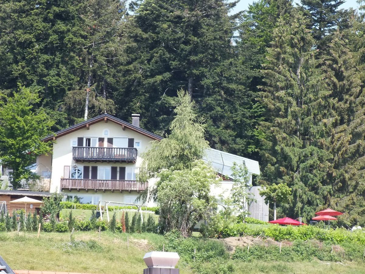 Gastehaus Pension Bergwald Scheidegg Exterior photo